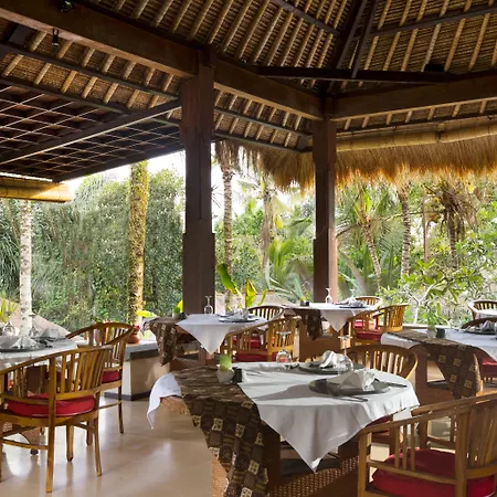 Nandini Jungle By Hanging Gardens-2